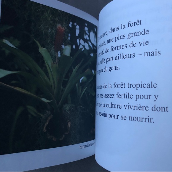 FRENCH ~ Set of 4 ~ Science Readers ~ Brand New! - Picture 13 of 16